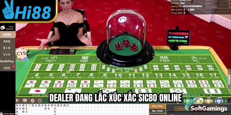 Dealer đang lắc xúc xắc sicbo online